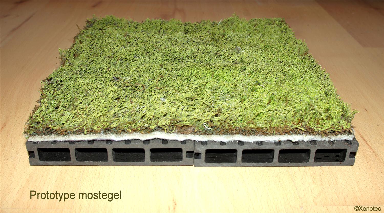 Prototype mostegel copyright ©Xenotec