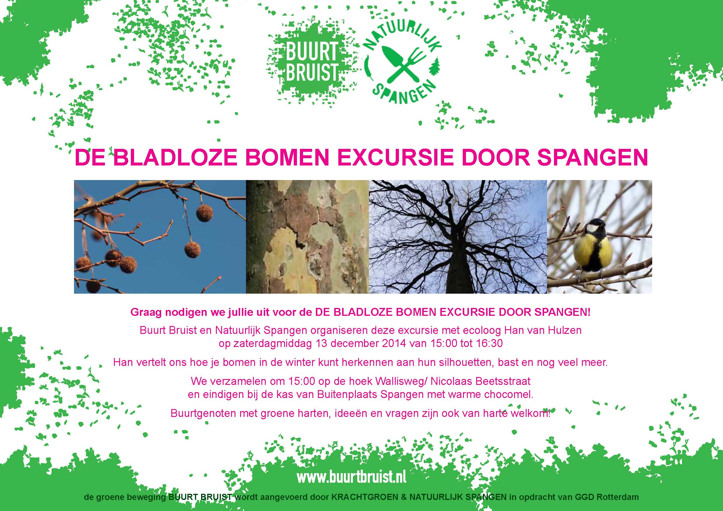 Bomenexcursie Spangen 13 dec 2014